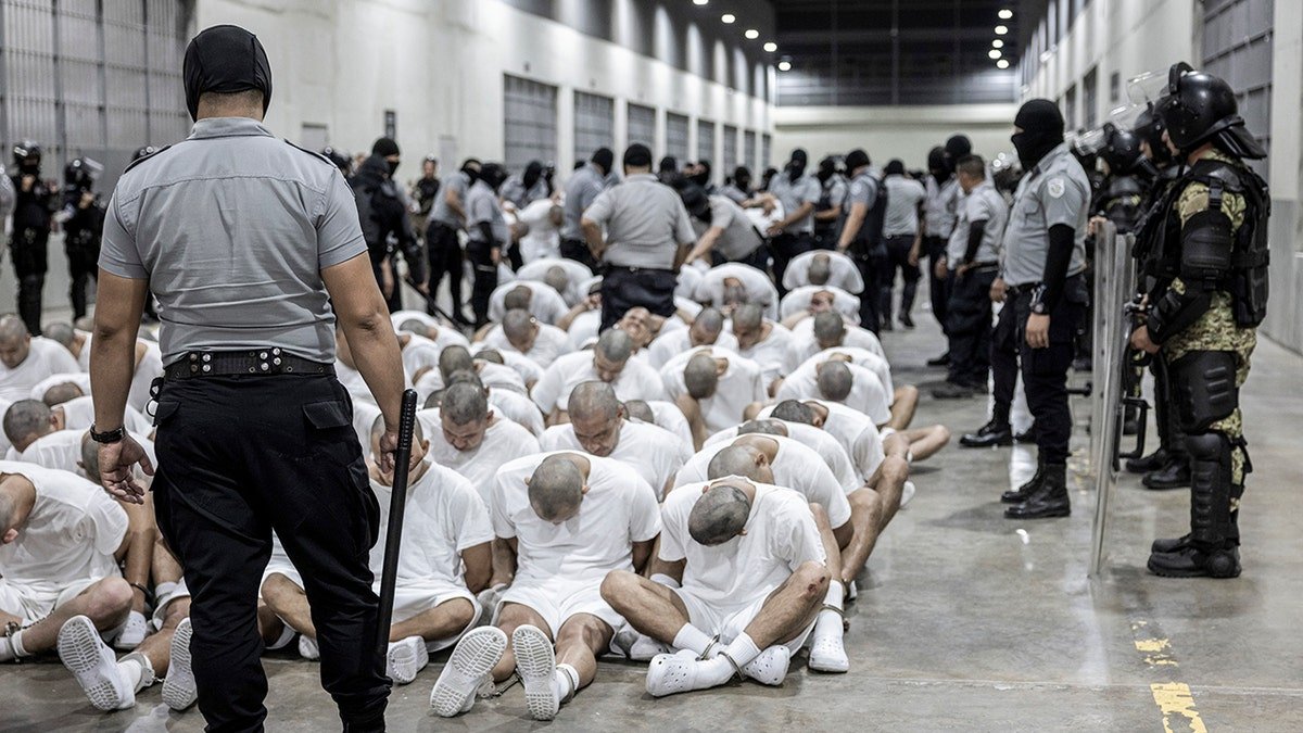 Guests on the ground in Al -Salvadouri prison
