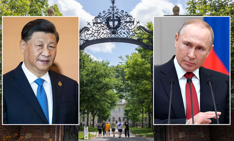 1742831285 A new study sheds light on the amount of foreign.png
