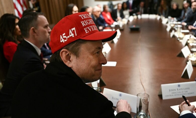 1742842246 Trumps Cabinet reveals nonsensical contracts it has canceled.jpg