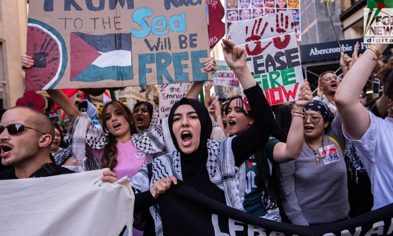 1742886219 Anti Israel Ivy Leaguer in US on visa urged by ICE.jpg