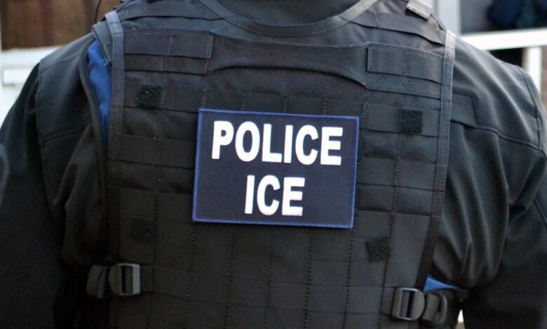 1743093217 Majority of Americans support deporting at least some illegal immigrants.jpg