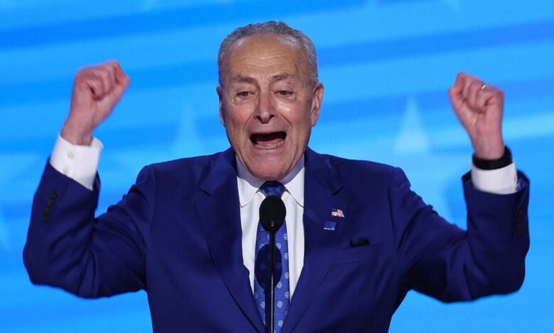 1743258803 WATCH Dems struggle to name the leader of the Democratic.jpg