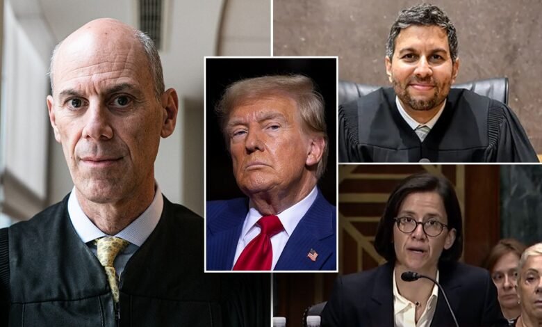 1743262492 Some judges blocking Trump managed to get bipartisan support in.jpg