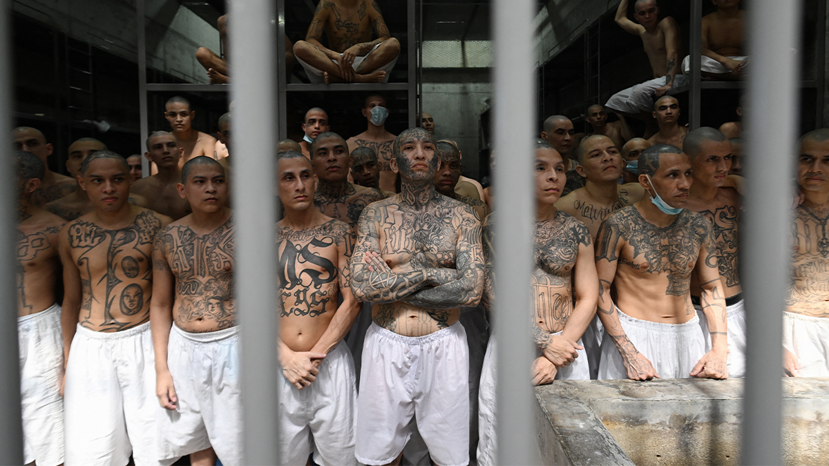 Cecot prisoners