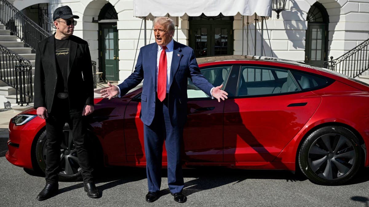 President Donald Trump and Elon Musk speak to journalists near the Red Model Tesla in the Southern House of the White House, March 11, 2025.