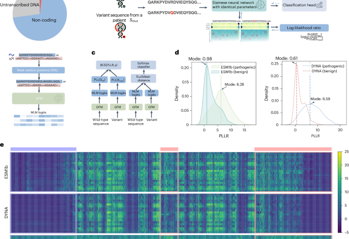 A disease specific language model for variant pathogenicity in cardiac and.png