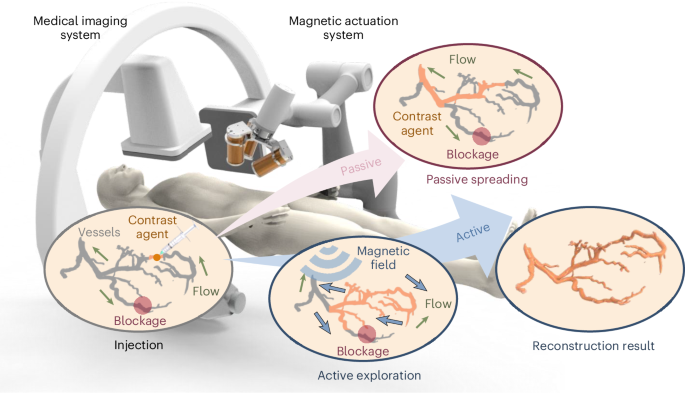 Active exploration and reconstruction of vascular networks using microrobot swarms.png