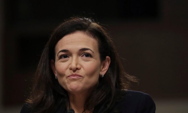Careless People Made Me Like Sheryl Sandberg.jpg