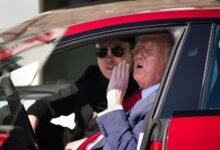 Elon Musk and Donald Trump in a Tesla.jpg