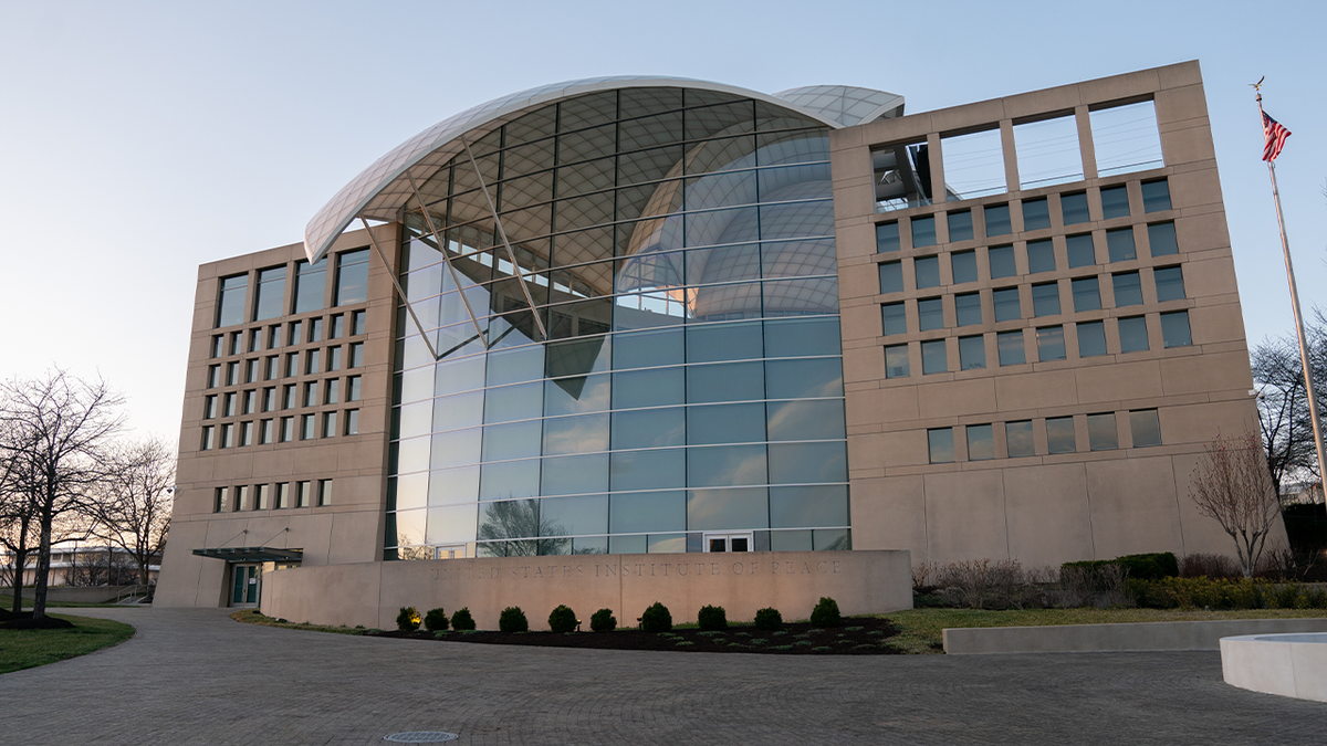 American Peace Institute