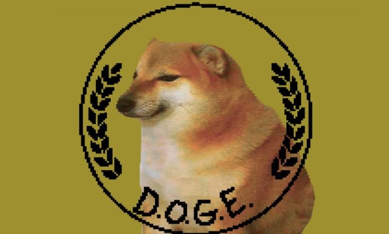 STKS486 DOGE DEPARTMENT e.jpg