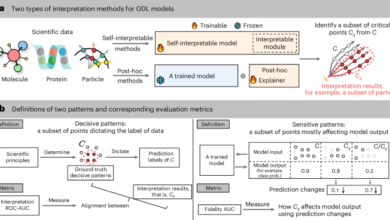 Towards unveiling sensitive and decisive patterns in explainable AI with.png