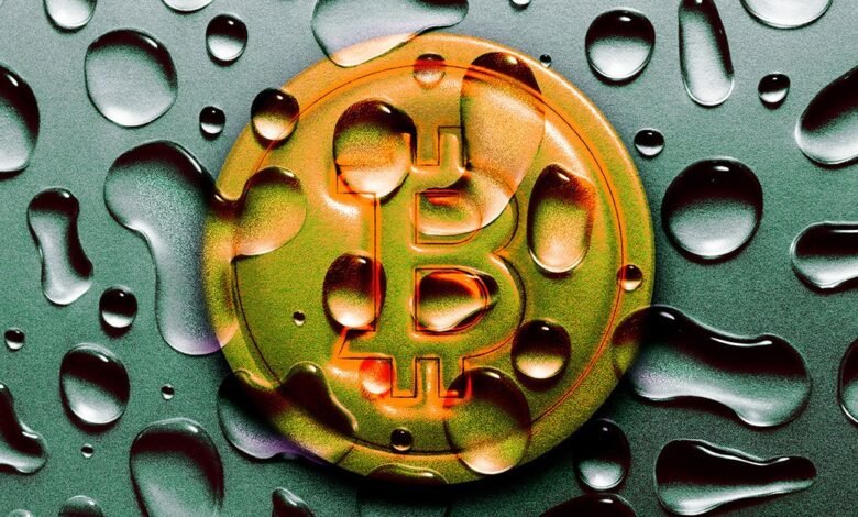 Visitors At This Bitcoin Heated Spa Are Complaining About Mold and.jpg