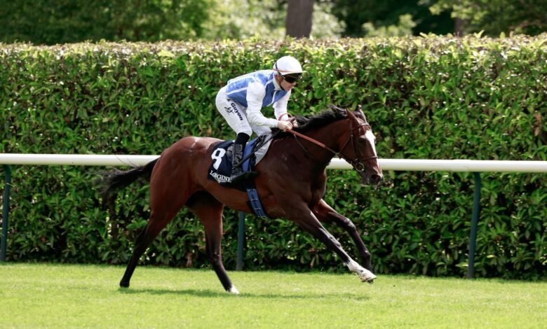 skysports racing polyvega 6857128.jpg
