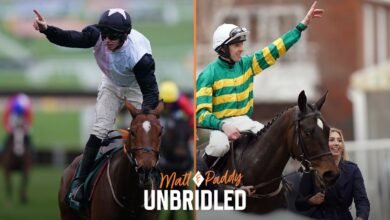 skysports unbridled cheltenham 6854041.jpg