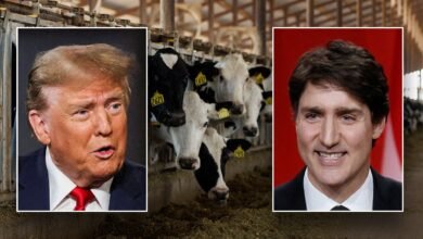 trump trudeau dairy.jpg