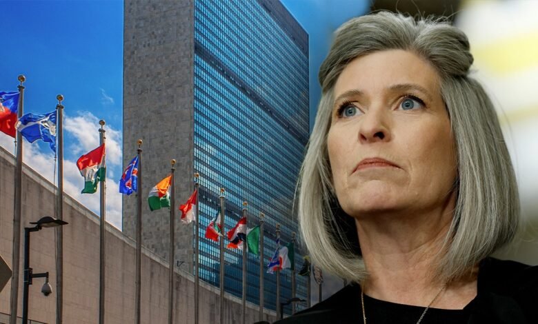 1743611689 DOGE Caucus urged to audit the UN as it faces.jpg
