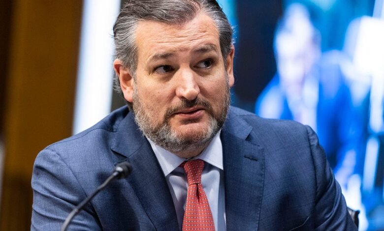 1743656428 Cruz and Klobuchar face off in key hearing over federal.jpg