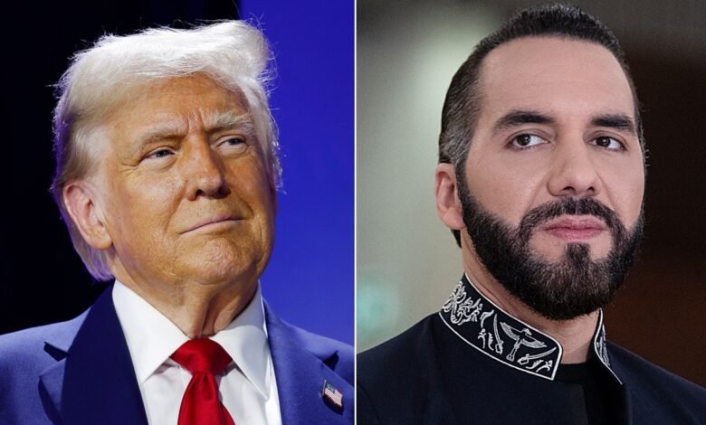 1743685836 Trump invites El Salvadors Bukele for White House working visit.jpg