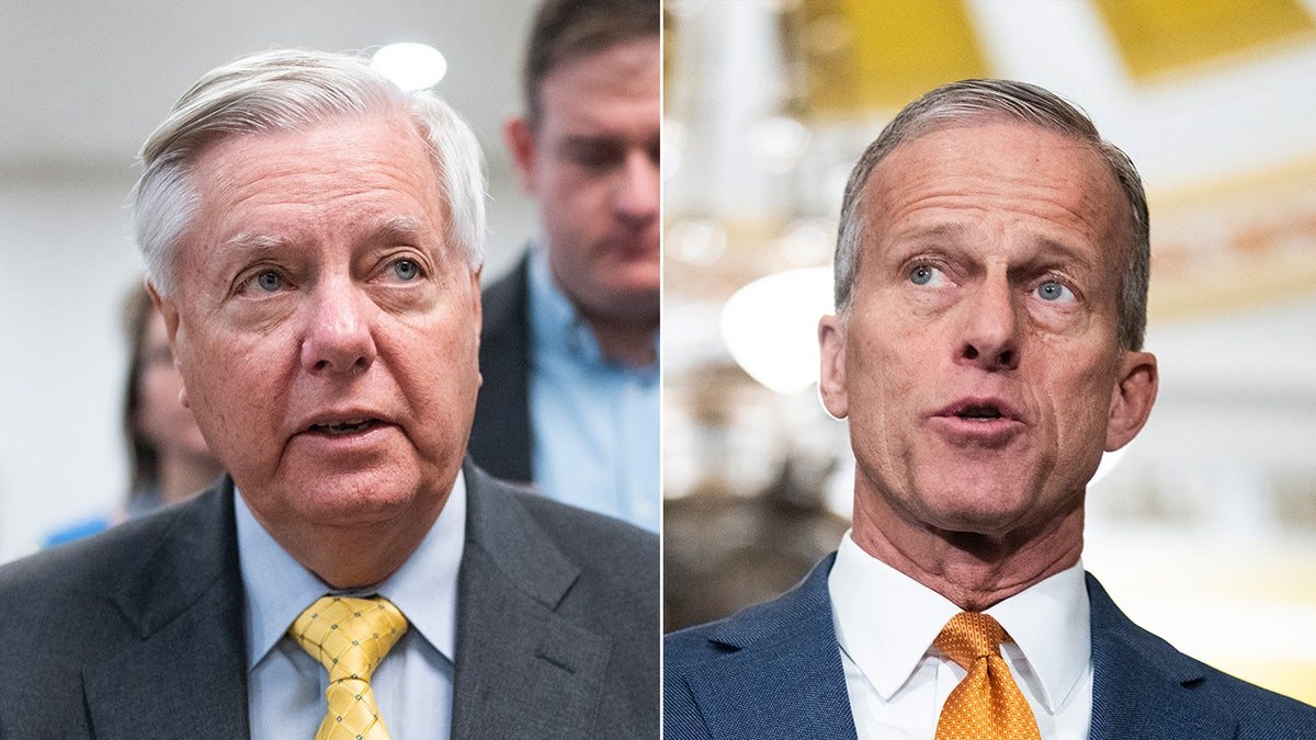 Lindsey Graham, John Thun