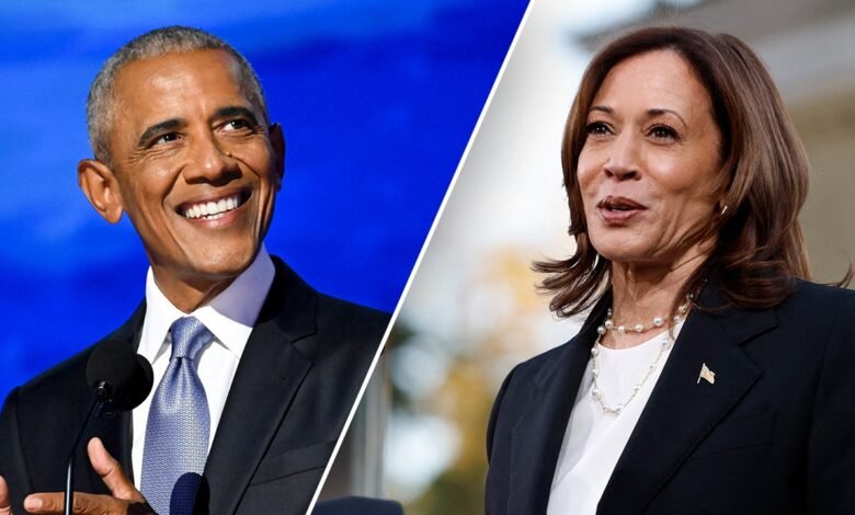 1743806336 New book details Obamas strained relationship with Democratic party.jpg