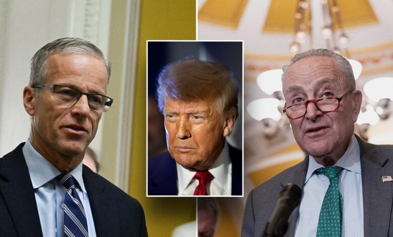 1743839327 Trump backed budget framework passes Senate after late night vote session.jpg