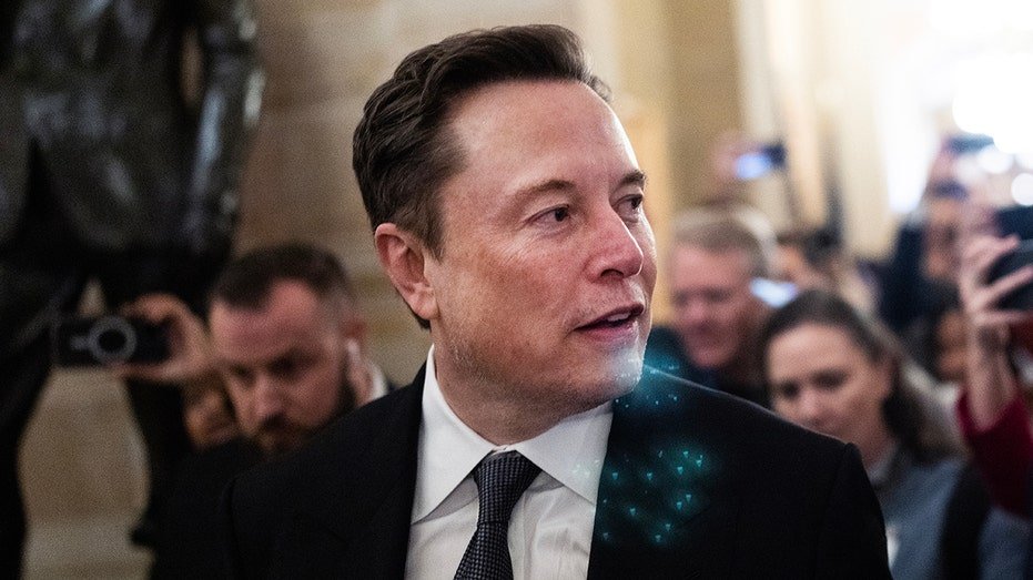 Elon Musk in Capitol in the United States