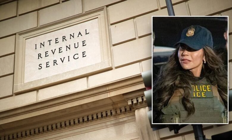 1744087378 IRS DHS come to agreement in effort to deport criminal.jpg