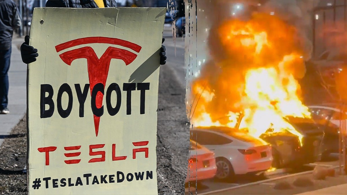 Tesla Province
