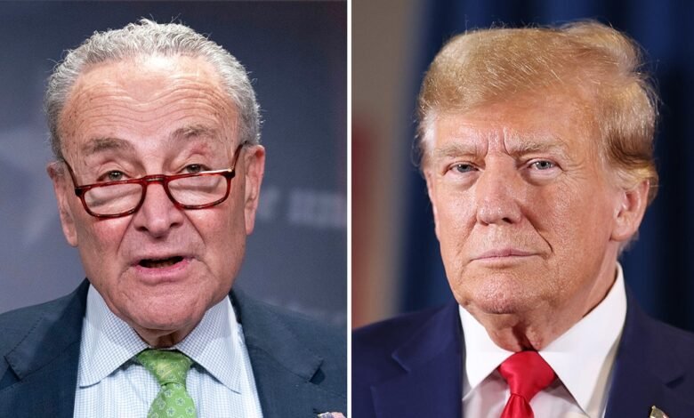 1744290069 Trump tariff pause leads Schumer to pivot criticism to governing.jpg
