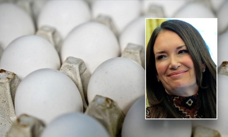 1744341849 ​Egg prices crack records ahead of Easter holiday but relief.jpg
