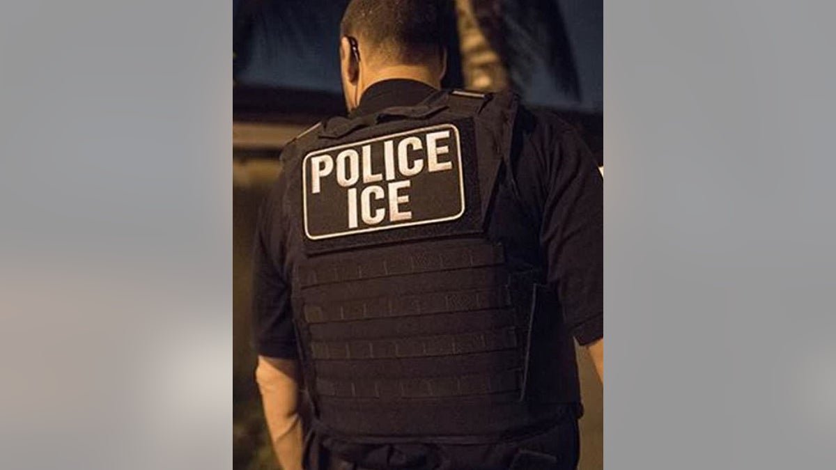 An enforcement officer in immigration and customs in the United States