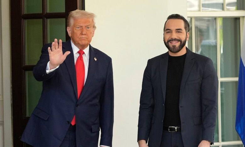 1744653517 ‘Men abusing women Trump Bukele in alignment on men in.jpg
