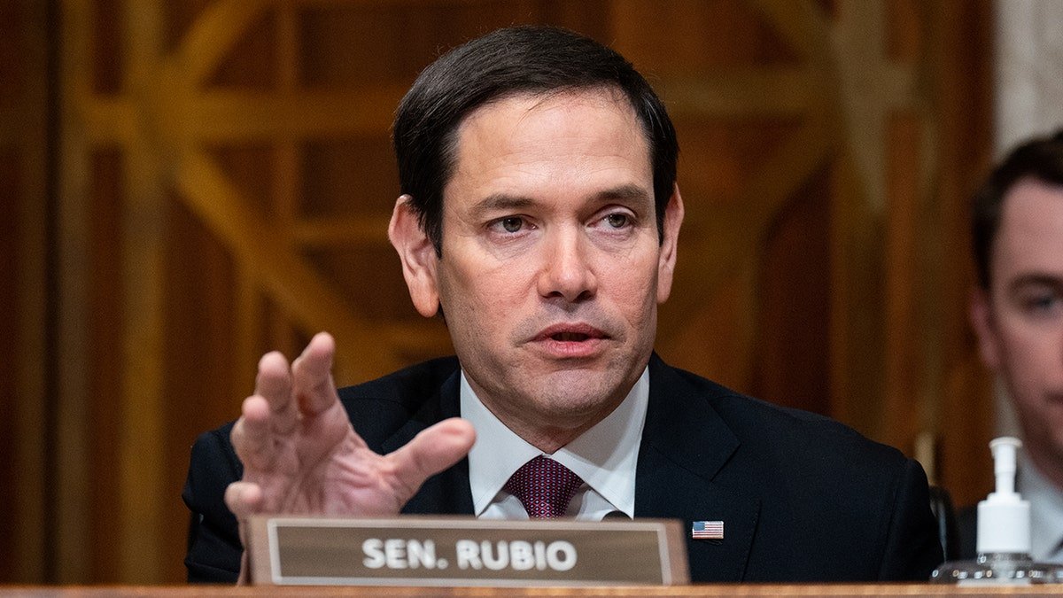 Rubio questions
