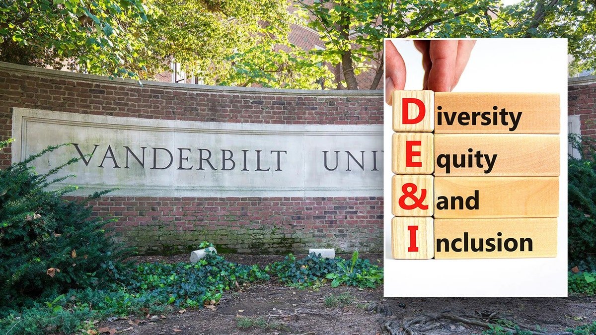 Vanderbilt brand, DEI CROSSWORD images