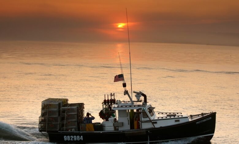 1745058217 Trump is loosening red tape to help Americas 20 billion.jpg