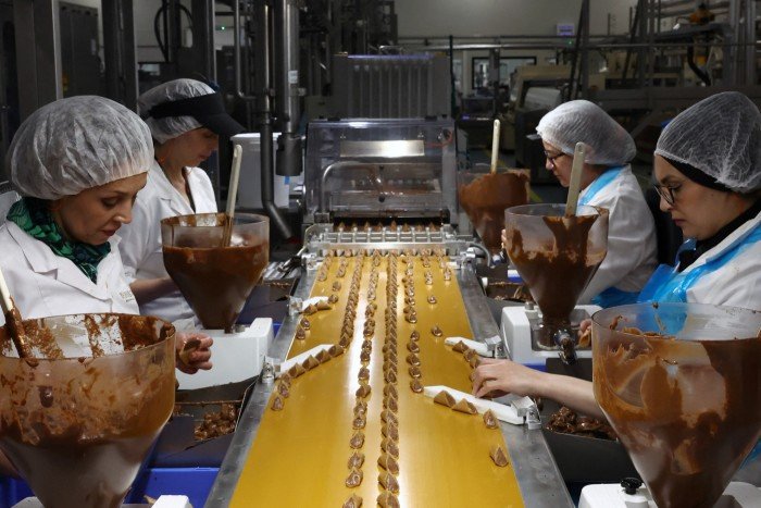 Workers who have a lines of Pralines in front of them at the Chocolate Factory in Neuhaus in Vlezenbeek, Belgium