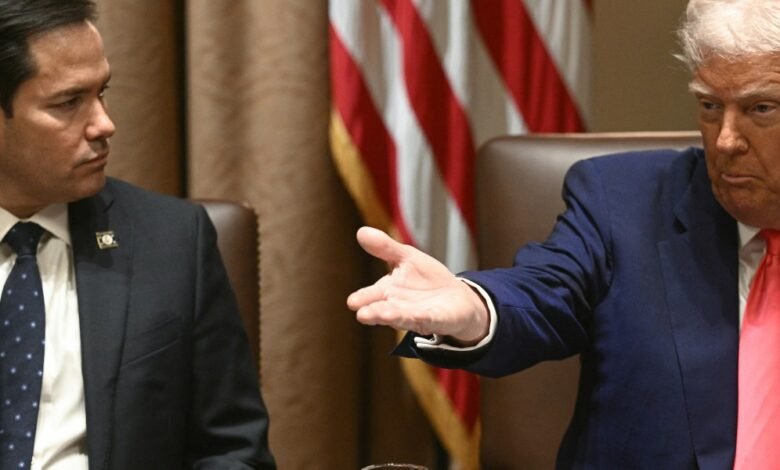 1745168020 Trump reportedly drafted an executive order for ‘a disciplined reorganization.jpg