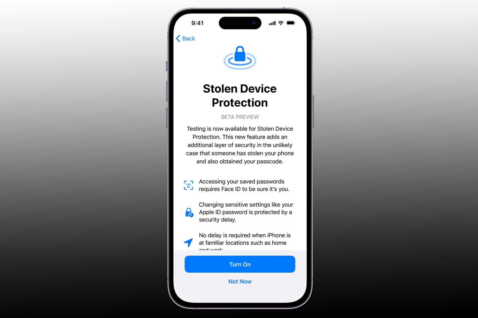 The stolen device protection feature on iPhone.