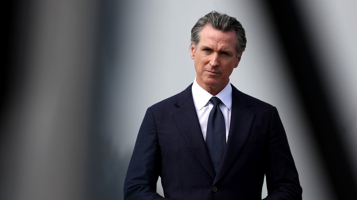 California Governor Gavin New Zoom