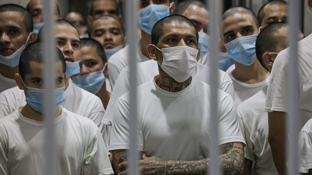 The gang members were seen in a cell in the terrorist detention center, or CECOT, in Ticoloca, in San Vicente, El Salvador. Image via Getty Images.