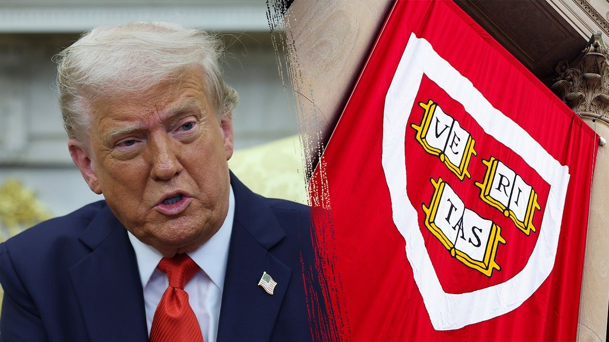 Trump/Harvard division