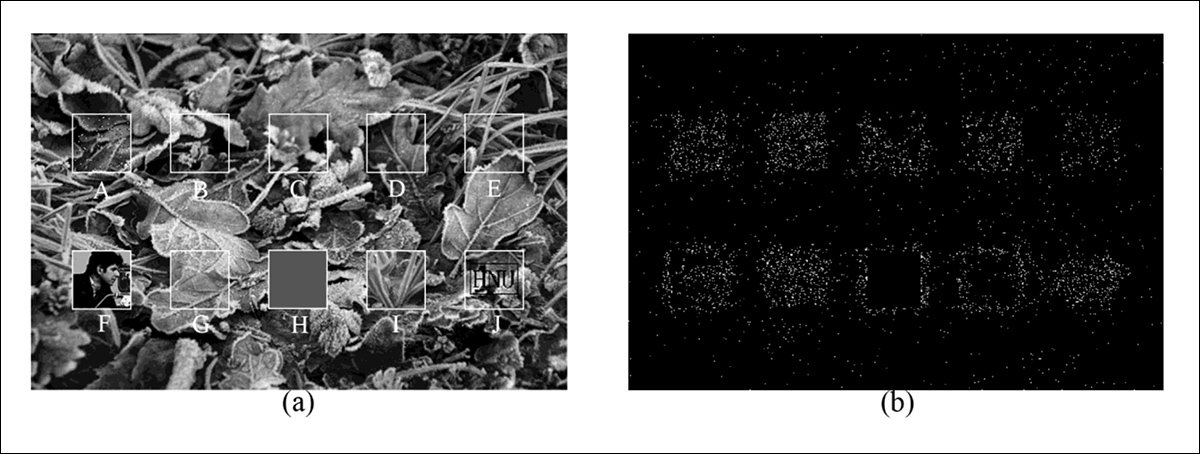 Tampering localization results using a fixed point image with a PSNR of 59.7802 dB. White rectangles indicate the regions subjected to attacks. Panel A (left) displays the applied modifications, including localized noise, filtering, and copy-based attacks. Panel B (right) shows the corresponding detection output, highlighting the tampered areas identified by the authentication process. Source: https://arxiv.org/pdf/1308.0679