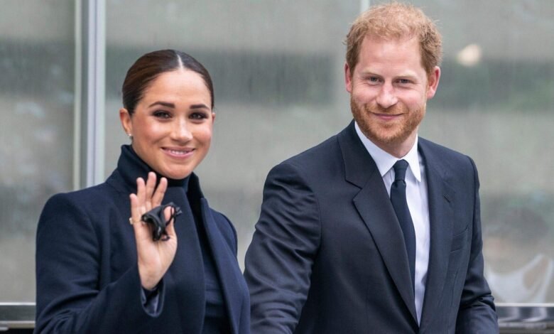 1745735570 Prince Harry Meghan Praised For Giving Life To Important.jpg