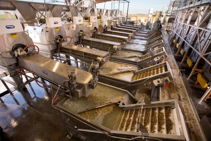 Pistachio treatment facility