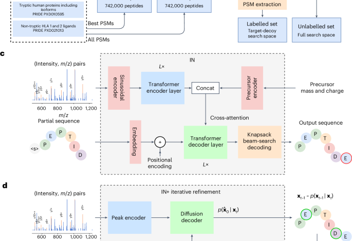 InstaNovo enables diffusion powered de novo peptide sequencing in large scale proteomics.png