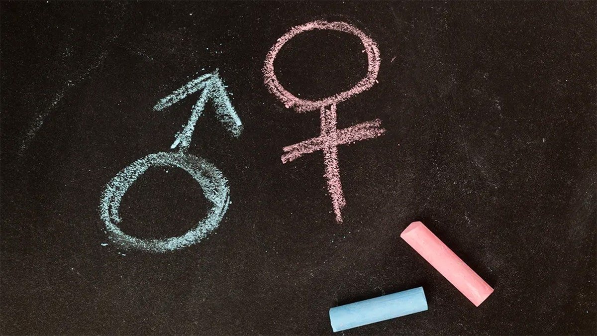 Male and female symbols in blue and pink