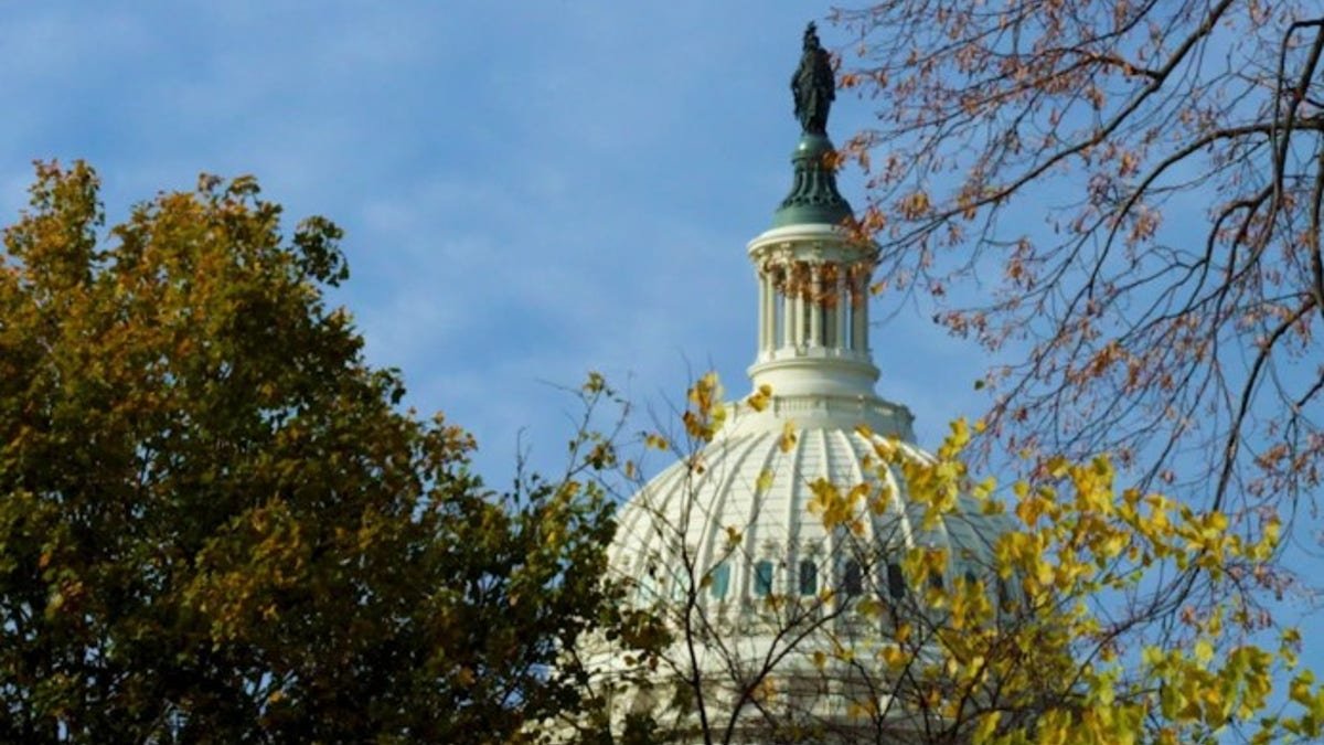 The dome of the Capitol building in the United States is seen from Jadda in Washington, DC (photographed by Emma Woodhid, Fox News Digital)