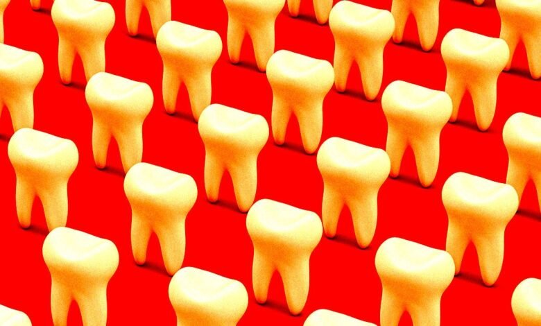 Scientists Successfully Grow Human Tooth in Lab With Aim of.jpg