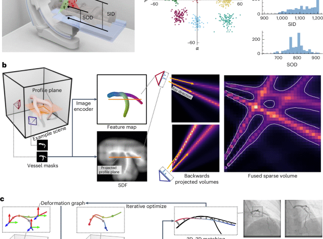 Sparse and transferable three dimensional dynamic vascular reconstruction for instantaneous diagnosis.png
